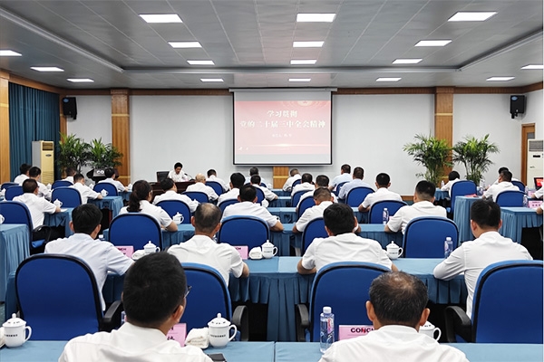 集團(tuán)黨委書記、董事長楊軍到銅陵海螺開展學(xué)...